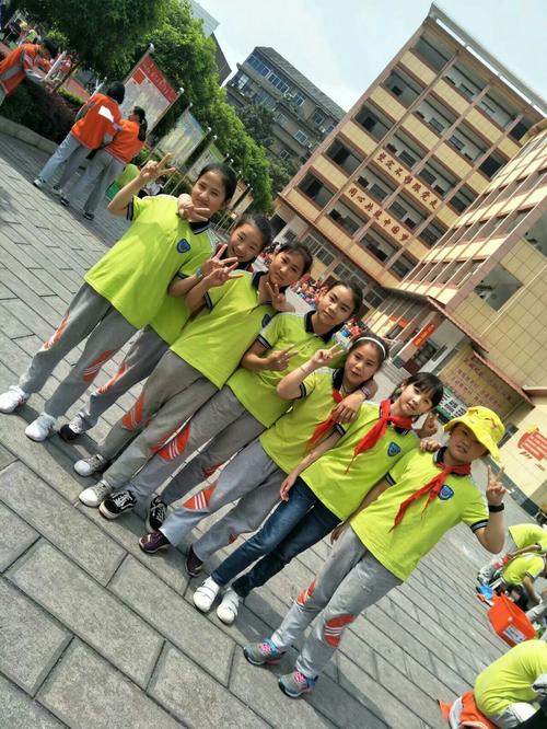 泰好用-便捷生活服务助手 功能总结与使用建议