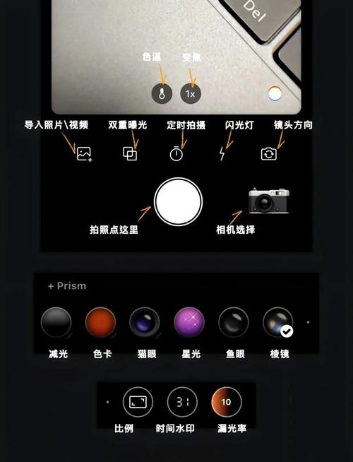 DazzFugu-���Ž�Ƭ��� ���Ž�Ƭ���APPʵ��Ч�����˾�����