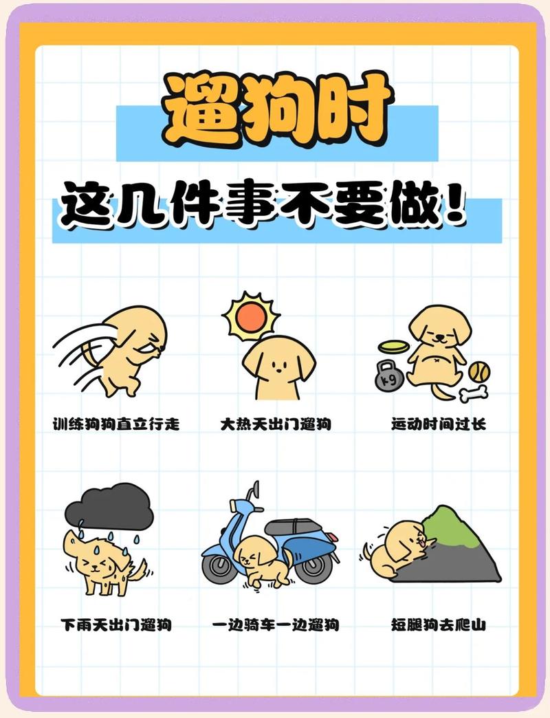 十遛-随时随地轻松遛弯 户外散步安全提醒配图