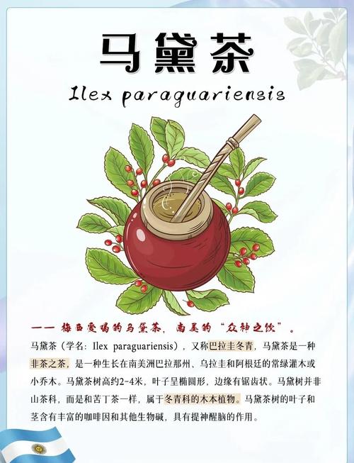 高乔起源(Gaucho Origins) 南美牛仔文化节庆与马黛茶配图