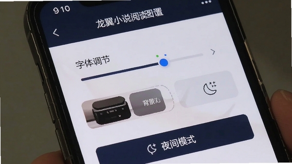 龙翼小说阅读设置界面,展示字体调节、背景切换、夜间模式等功能选项,手机屏幕特写