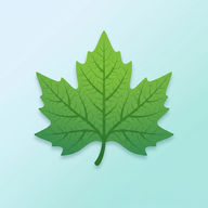�Ի���ͩ-�����ǻ���������v1.01 �ٷ�����