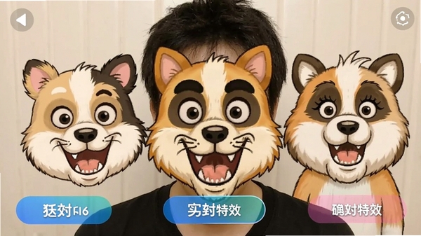 �������ʵʱ������Ч��ʾ�������沿���滻�ɿ��ŵĿ�ͨ����������Ļ������Ч�л���ť