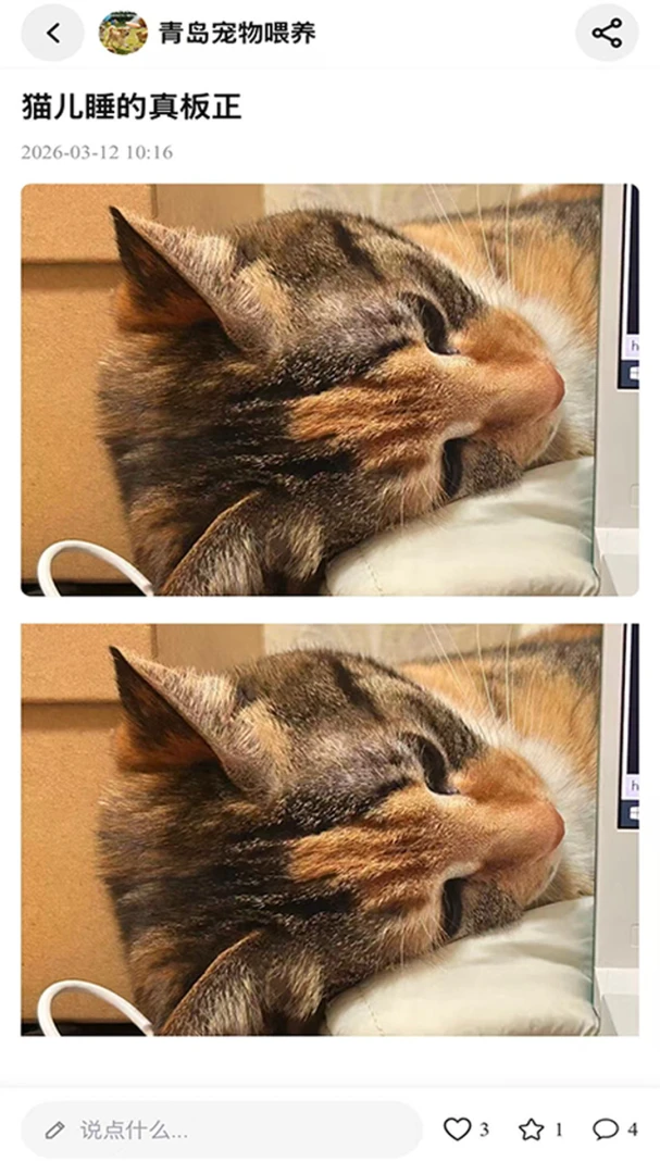 PetPandora-�����������ѽ�ͼ
