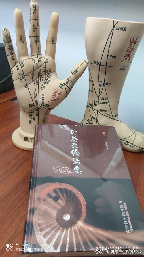 吴门医述-中医典籍随身查 手机检索中医古籍界面 实用操作指南配图