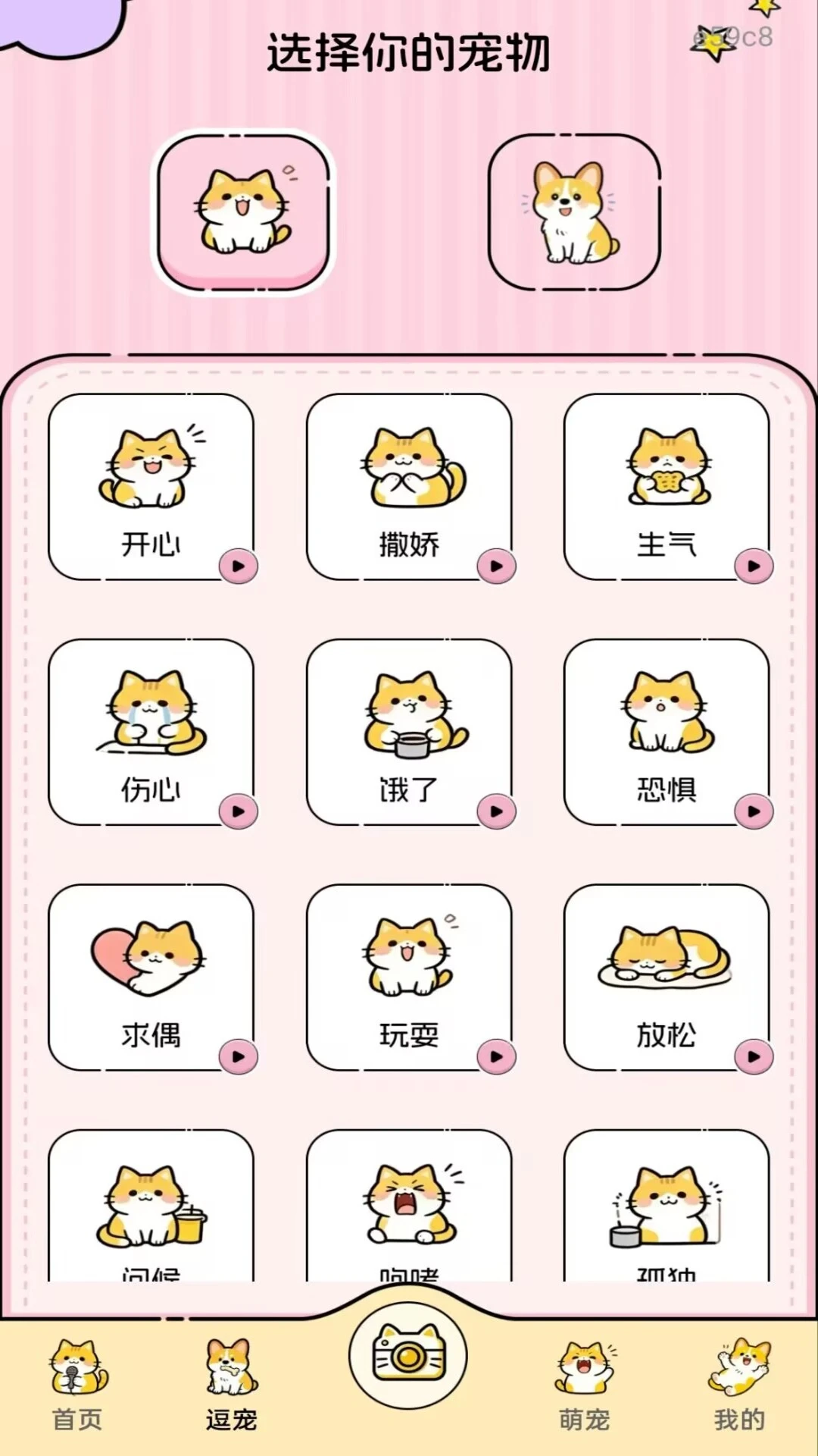 ����è�����Է���-���ｻ����������ͼ1