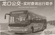 ���ڹ���ʵʱ��ѯ�������־�׼�鹫����վ