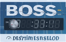 BOSS��ʱ����Ч����ʱ����������Ч��