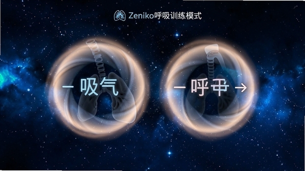 Zeniko����ѵ��ģʽ����̬��Ȧ��������������ţ�����Ϊ����ɫ�ǿգ�����������ʾ�����������ʾ����