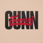 ��ʿǹս�ֻ���(Samurai Gunn)