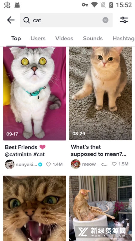 Tiktok Asia�������ް��ͼ5
