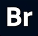 Adobe Bridge 2023���ļ���� v13.0.9.785 ֱװ��